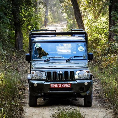 Bardia Wildlife Resort Bardiya 外观 照片