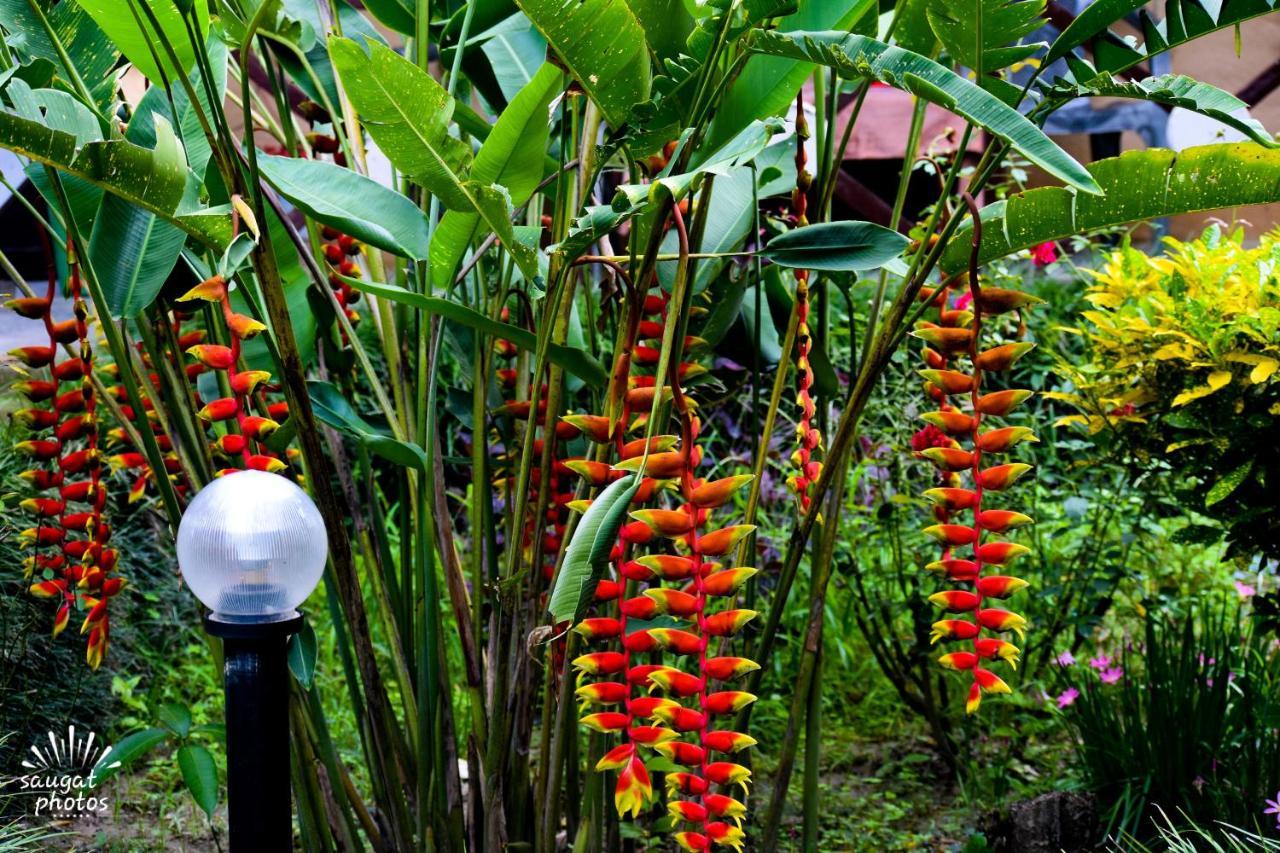 Bardia Wildlife Resort Bardiya 外观 照片