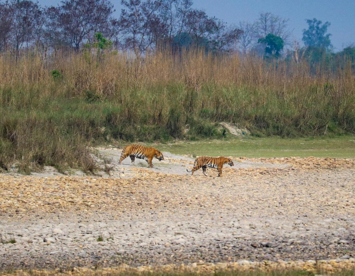 Bardia Wildlife Resort Bardiya 外观 照片