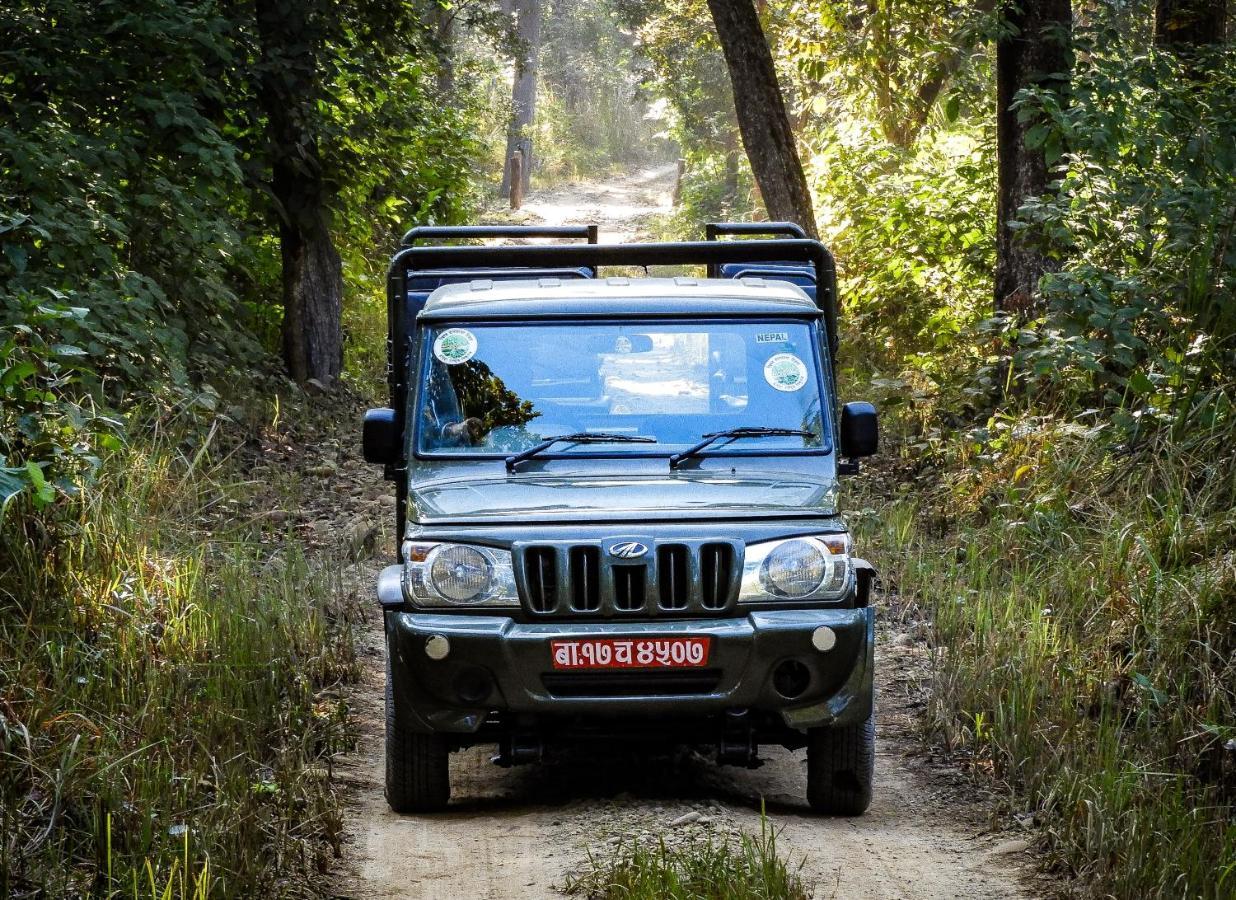 Bardia Wildlife Resort Bardiya 外观 照片