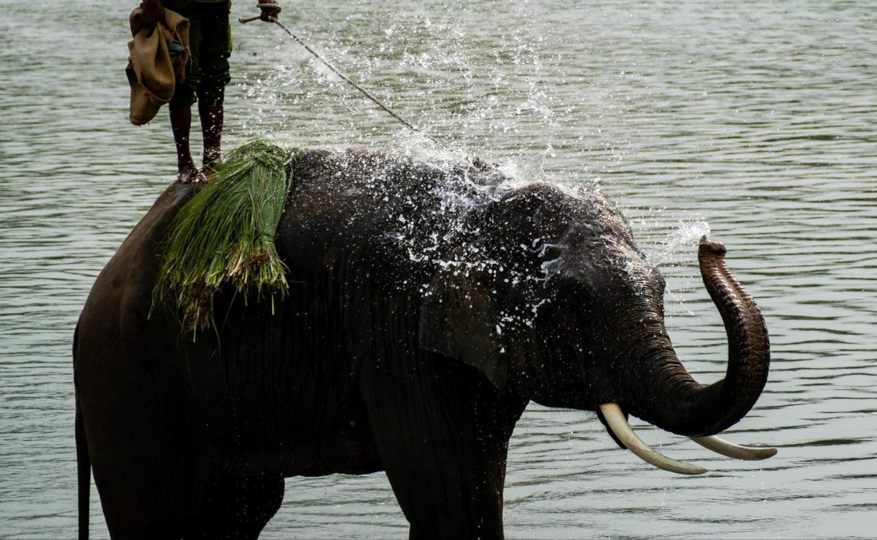 Bardia Wildlife Resort Bardiya 外观 照片