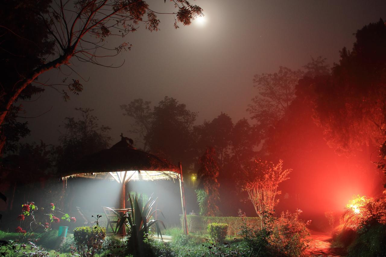 Bardia Wildlife Resort Bardiya 外观 照片