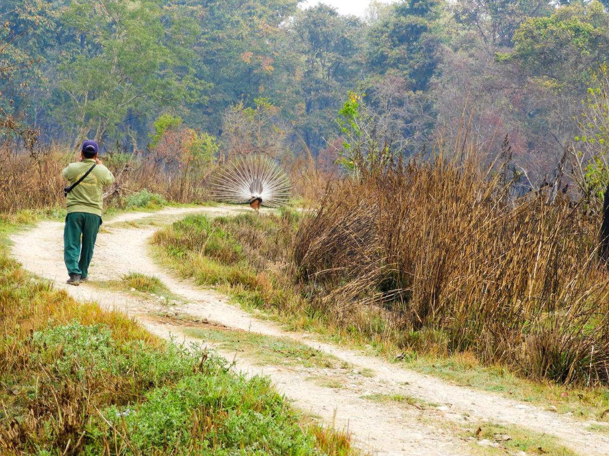 Bardia Wildlife Resort Bardiya 外观 照片