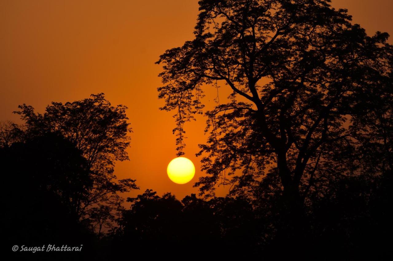 Bardia Wildlife Resort Bardiya 外观 照片